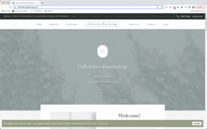 Collective Psychology
