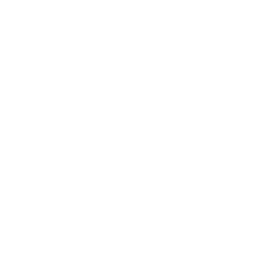 StoryBrand Certified Guide 2019