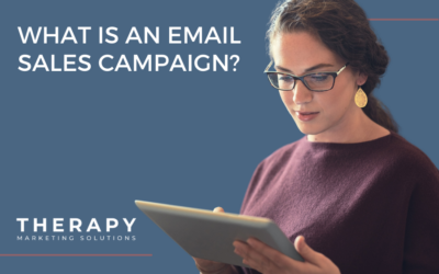 Email Sales Campaigns: What’s the Big Deal?